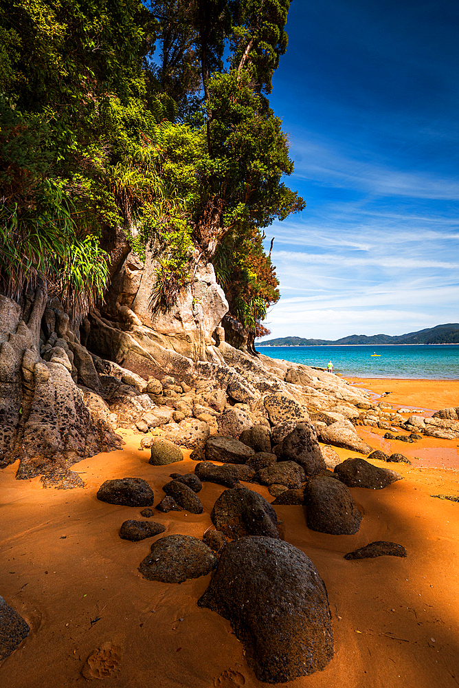 Tall Cliffs and Golden Sand in Narrow Coastal Passage, Abel Tasman National Park, New Zealand
