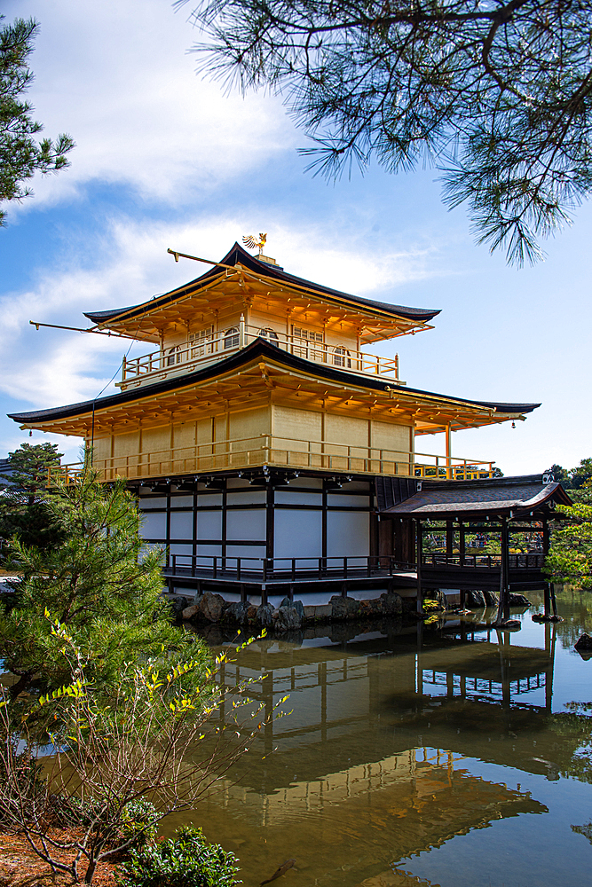 Golden Temple (Kinkaku-ji) reflected in the surrounding pond, UNESCO World Heritage Site, Kyoto, Honshu, Japan, Asia