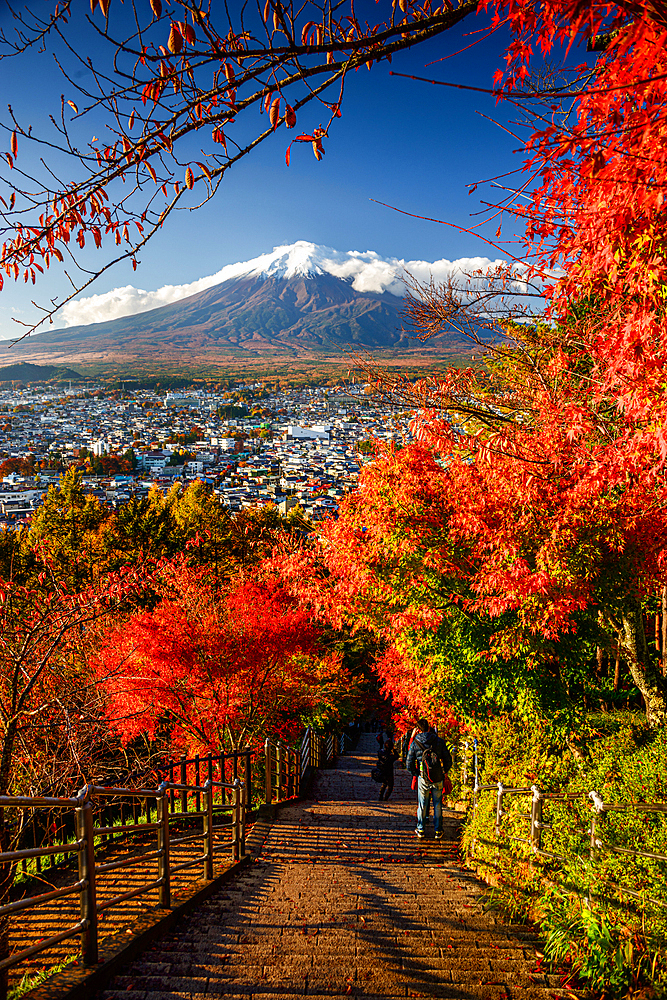 Mount Fuji and autumn maple leaves, Japan. Famous Volcano of Japan in red Fall. View over the city of Fujiyoshida