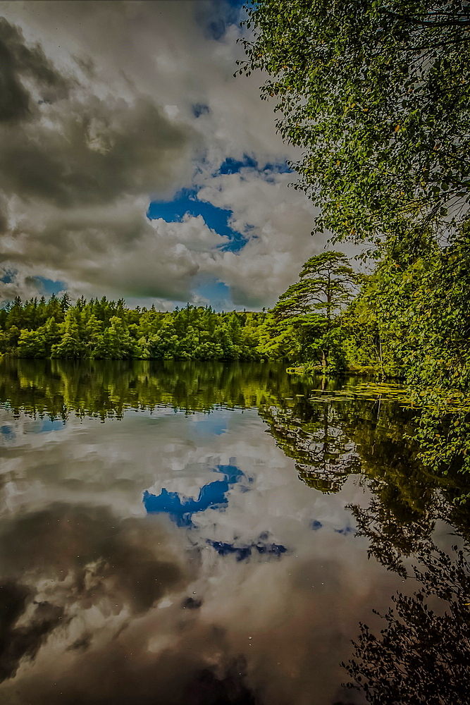 High Dam, Finsthwaite, English Lake District, Furness Peninsula, Cumbria, UK. Reflections across High Dam.