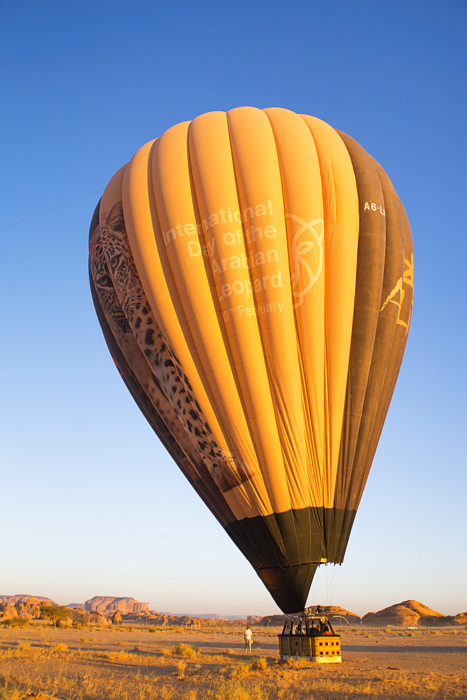 Balloon deflating after Hot air balloon flight over Hegra site and around with Hero Balloon Flights Saudi Operator, AlUla, Medina Province, Saudi Arabia, Middle East