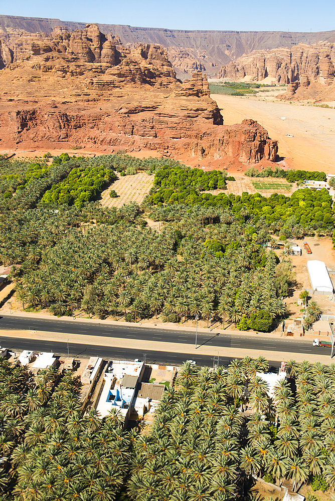 Aerial view of Palm grove and farms in the oasis of AlUla, Medina Province, Saudi Arabia, Middle East