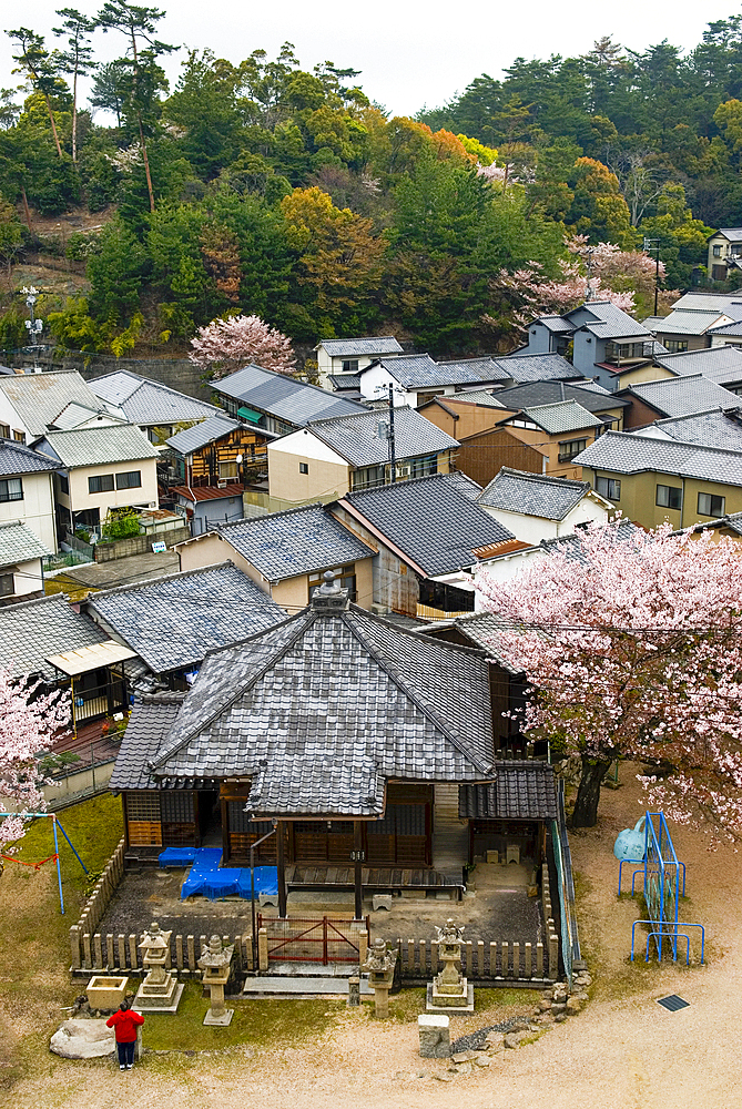 Village of Miyajima, on Itsukushima Island (Miyajima), off Hiroshima, Japan