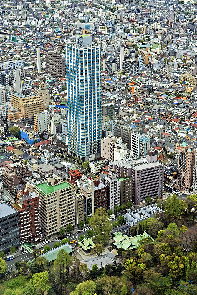 Aerial view from the Tokyo Metropolitan Government Building, Shinjuku ward, Tokyo, Japan