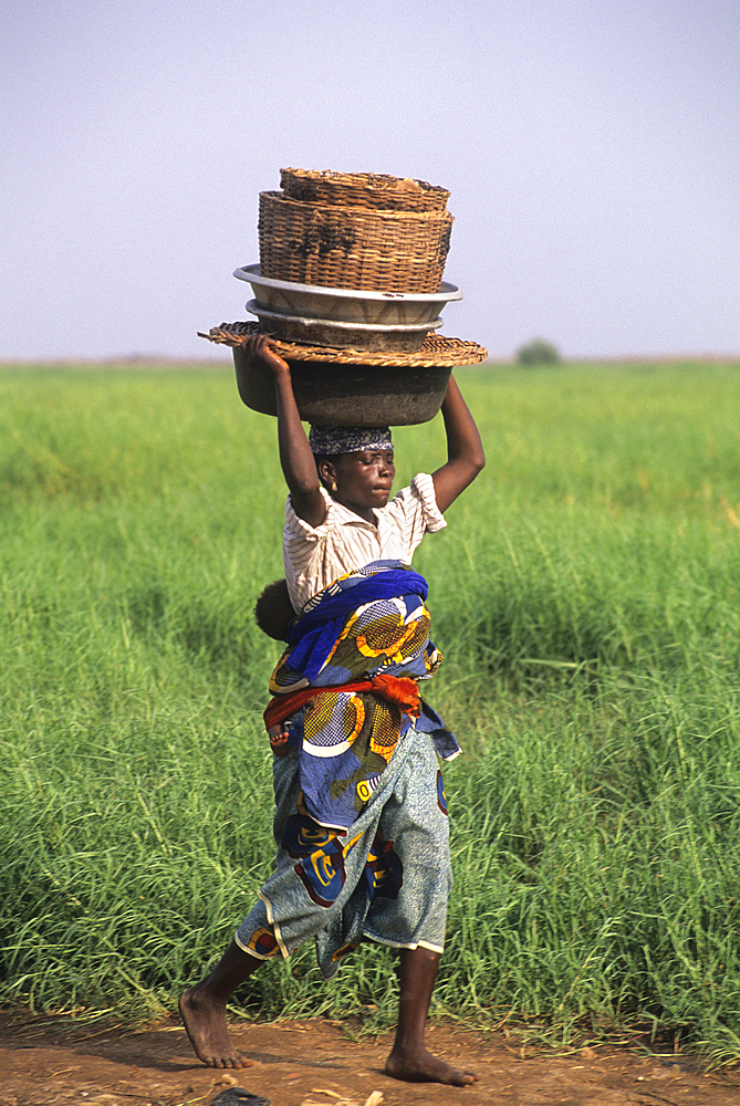 Woman walking carrying basket on her head, Mono River bank in Grand-Popo area, Benin,Gulf of Guinea,West Africa