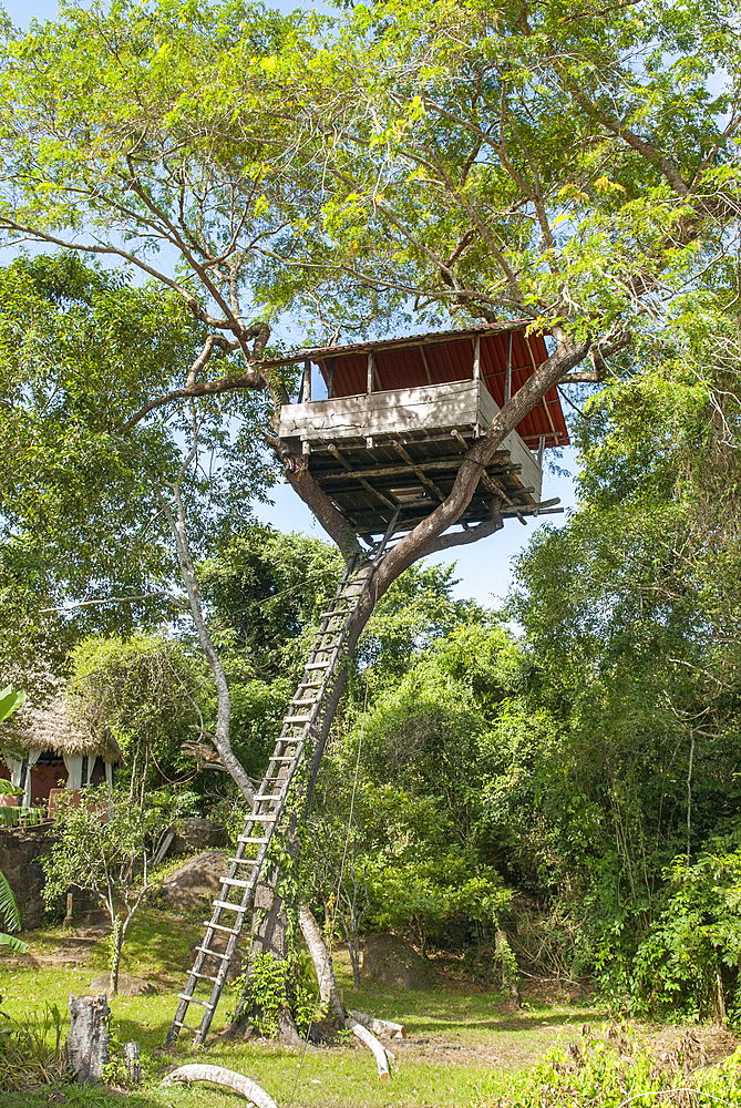 Cabin perched upon tree,lodge on Caura river bank,Trincheras,Bolivarian Republic of Venezuela,South America
