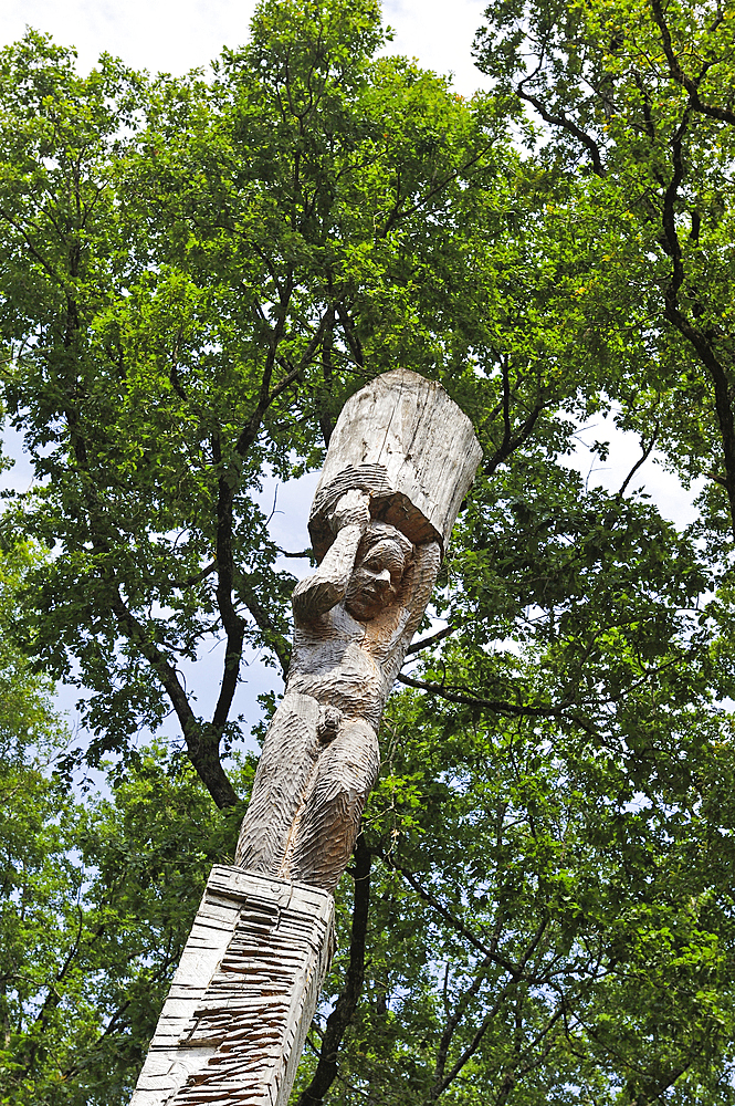 'Les Atlantes' sculpture on trunk (Douglas tree) by Antoine Halbwachs & Christophe Vehruny in the Forest of Troncais (Forêt de Tronçais), Allier department, Auvergne-Rhone-Alpes region, France, Europe