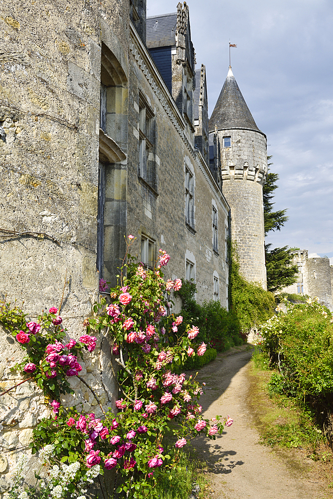 Chateau of Montresor, Touraine, department of Indre-et-Loire, Centre-Val de Loire region, France, Europe