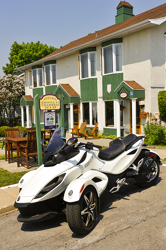 Spyder, Tadoussac, Cote-Nord region, Province of Quebec, Canada, North America