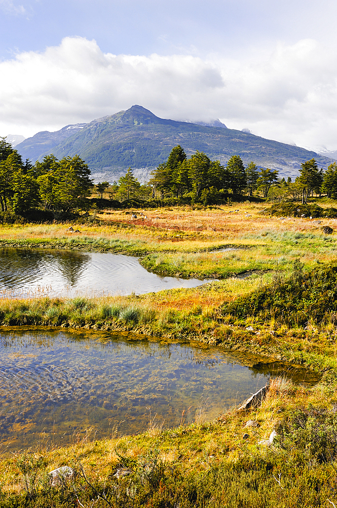 Ainsworth Bay, Alberto de Agostini National Park, Tierra del Fuego, Patagonia, Chile, South America