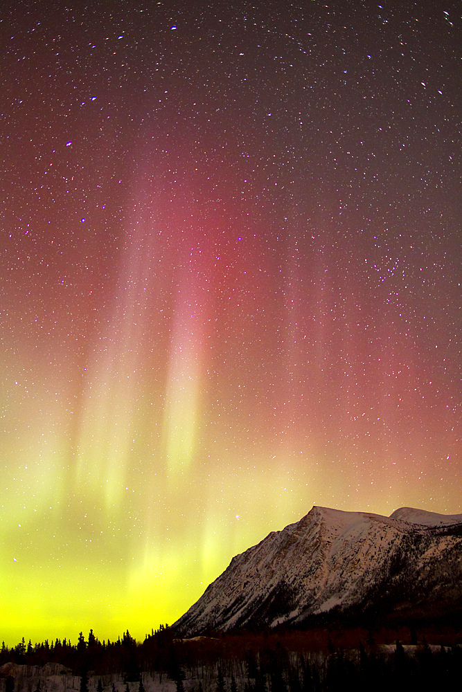 Red aurora borealis over Carcross Desert, Carcross, Yukon, Canada.