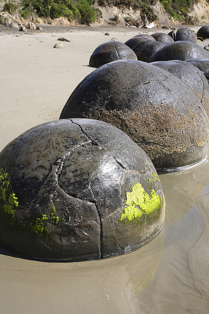 November 13, 2007 - Moeraki Boulders, spherical septarian concretions created by cementation of Paleocene mudstone of the Moeraki formation, Koekohe Beach, New Zealand.