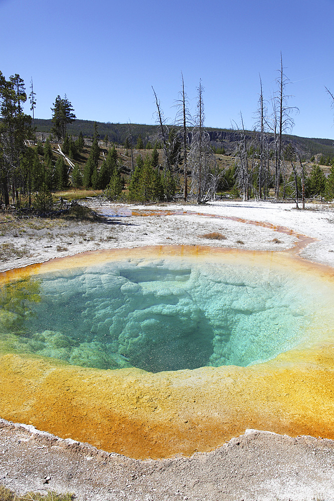 September 12, 2009 - Morning Glory Pool Hot Spring, Upper Geyser Basin geothermal area, Yellowstone Caldera, Yellowstone National Park, Wyoming.