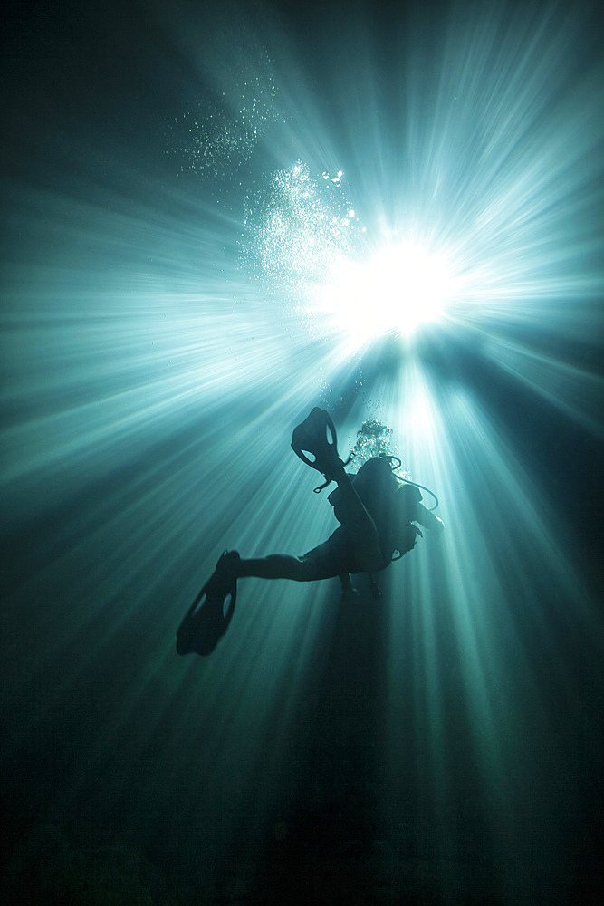 A scuba diver ascends into the light emanating above through the sink hole into the clear freshwaters of Devil's Den cave near Williston, Florida.