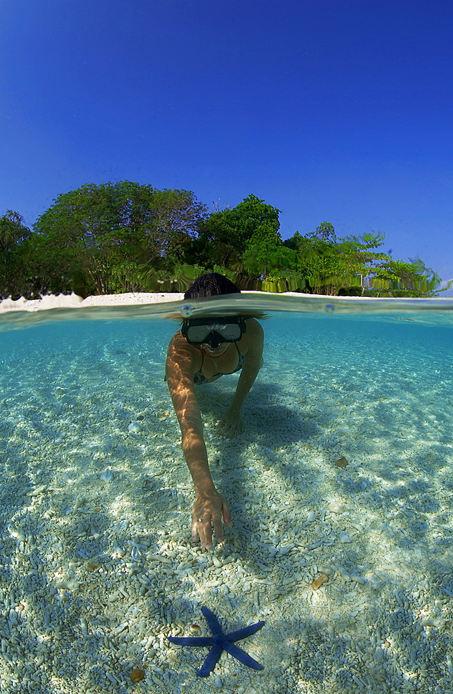 Snorkeler exploring starfish in lagoon in Tioman Island, Malaysia.