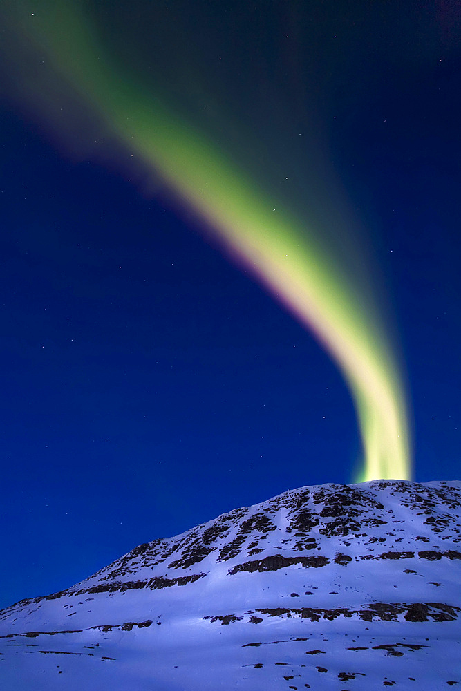 A magnificent display of aurora borealis shooting up from Toviktinden Mountain in Troms County, Norway. Auroras are the result of the emissions of photons in the Earth's upper atmosphere.