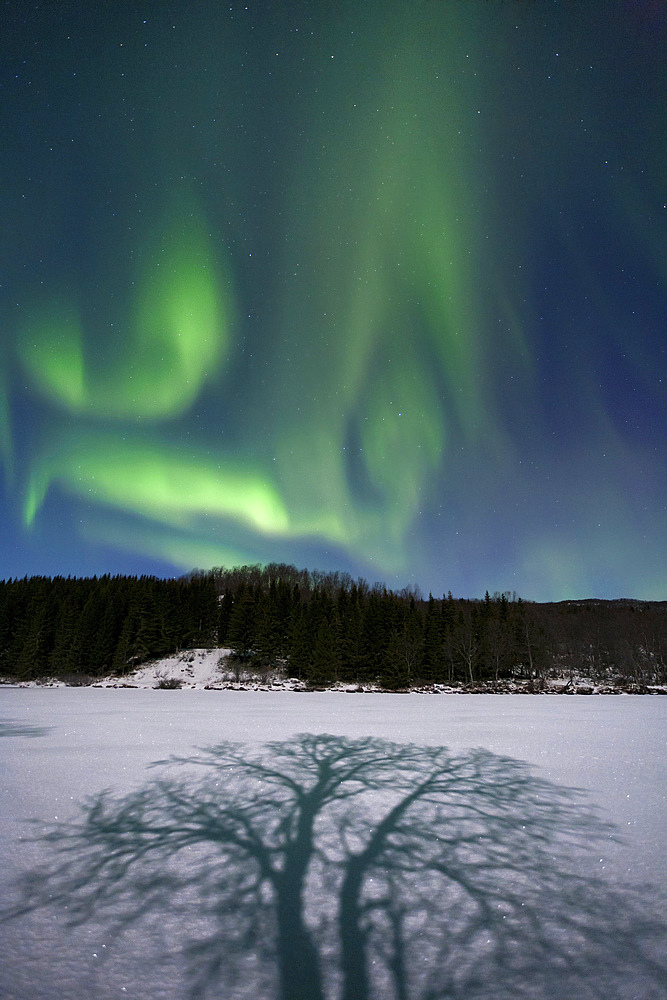 Aurora Borealis over Sandvannet Lake in Troms County, Norway. Auroras are the result of the emissions of photons in the Earth's upper atmosphere.
