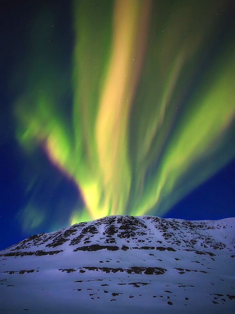 A fantastic eruption of Aurora Borealis over Toviktinden Mountain in Troms County, Norway. Auroras are the result of the emissions of photons in the Earth's upper atmosphere.