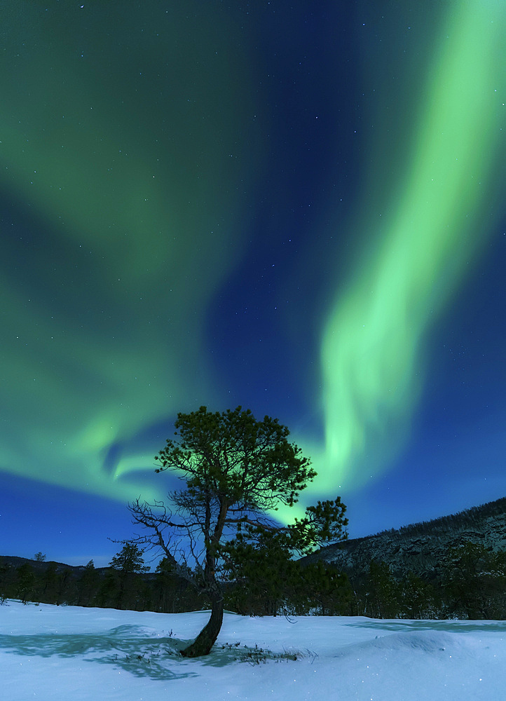 Aurora Borealis, Forramarka, Troms, Norway.