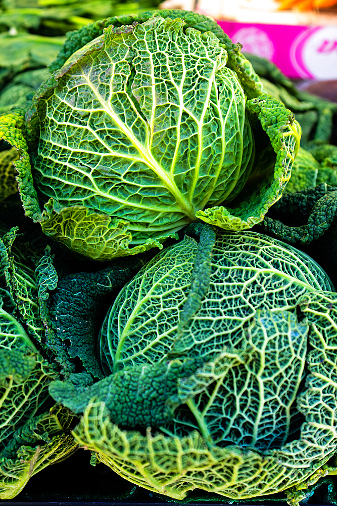 Cabbages