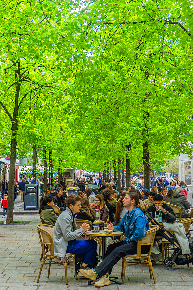 Diners on restaurant terrace under new leaves on Rue Saint-Martin on spring day