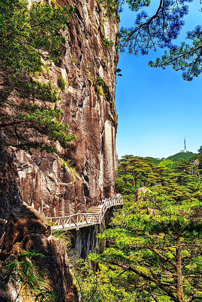 Cliffside walkway in Huangshan (Mt Huang), UNESCO World Heritage and UNESCO Global Geopark, Anhui Province, China.
