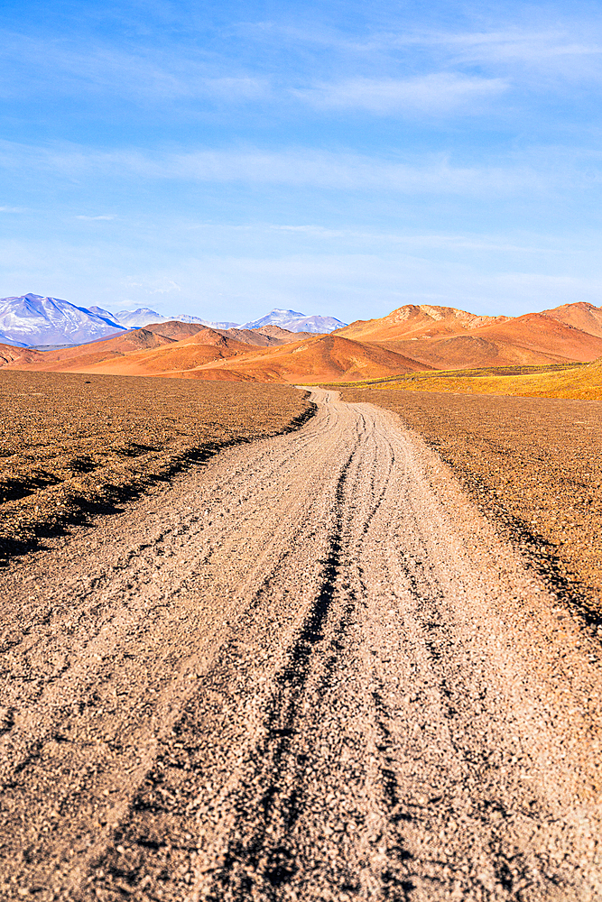 Remote dirt road in the red earth landscape, Puna, Argentina