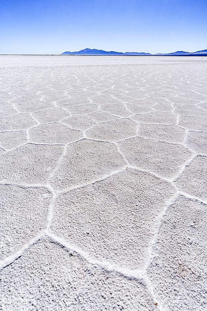 Geometric cracked salt flats, Salinas Grandes, Jujuy, Argentina
