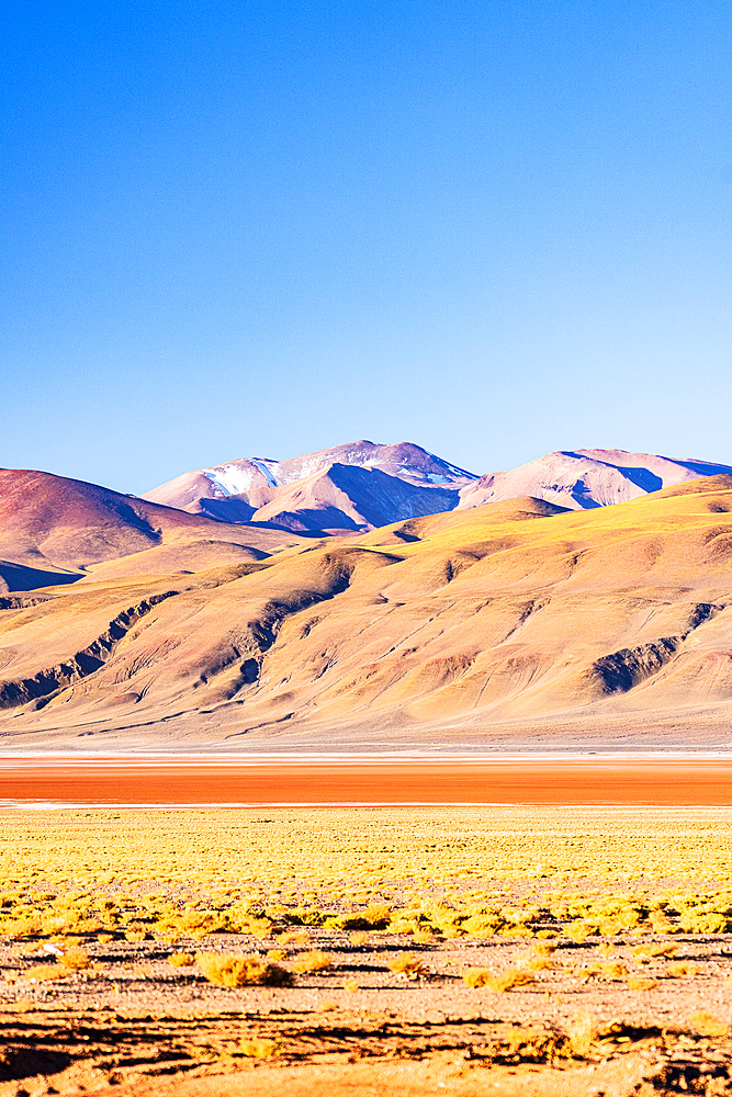 Colorful highland landscape at Salar de Pocitos, Puna de Atacama, Argentina
