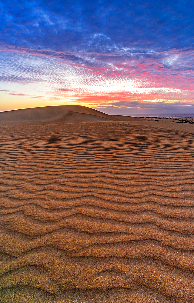 Shaped sand dunes at dawn, Corralejo Natural Park, Fuerteventura, Canary Islands, Spain