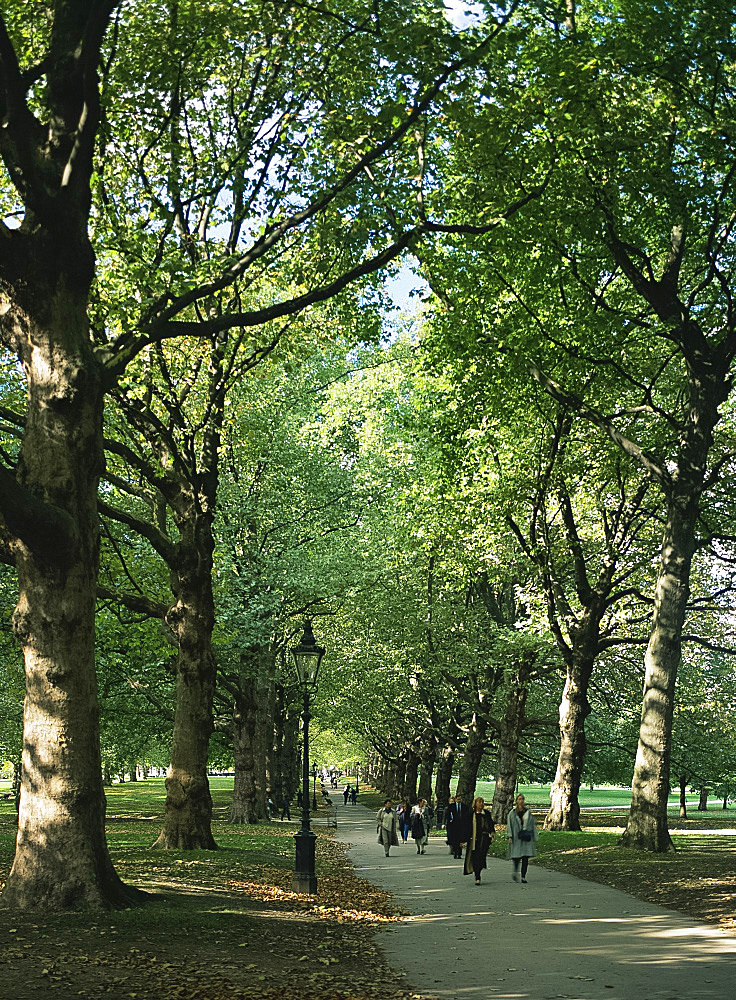 Green Park, London, England, United Kingdom, Europe