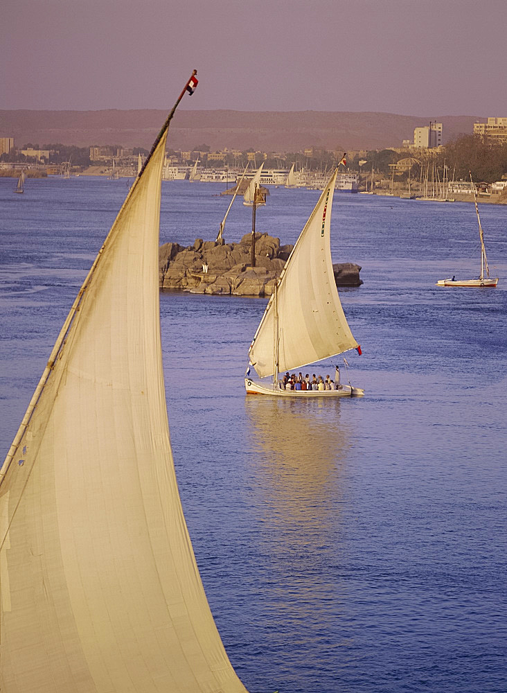 Feluccas on the Nile River, Aswan, Egypt, North Africa, Africa