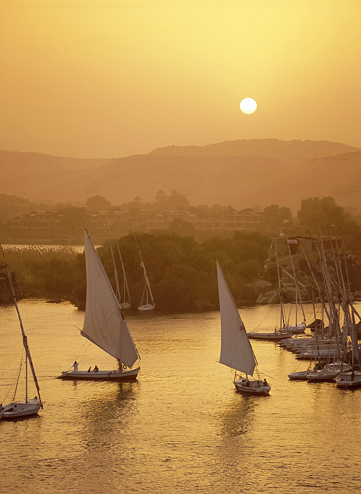 Feluccas on the Nile River at sunset, Aswan, Egypt, North Africa, Africa