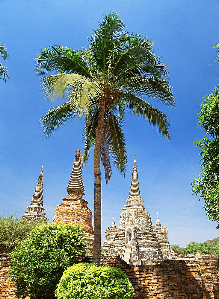 Wat Phra Si Samphet, Ayutthaya, UNESCO World Heritage Site, Thailand, Southeast Asia, Asia