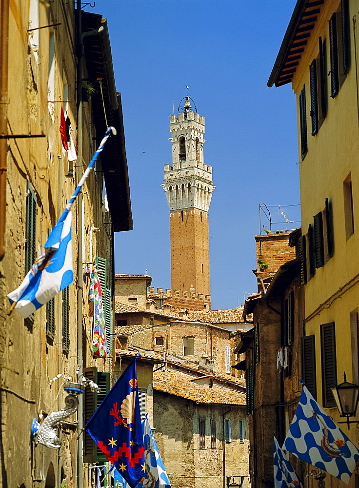 Houses and Torre del Mangia, Siena, Tuscany, Italy *** Local Caption ***