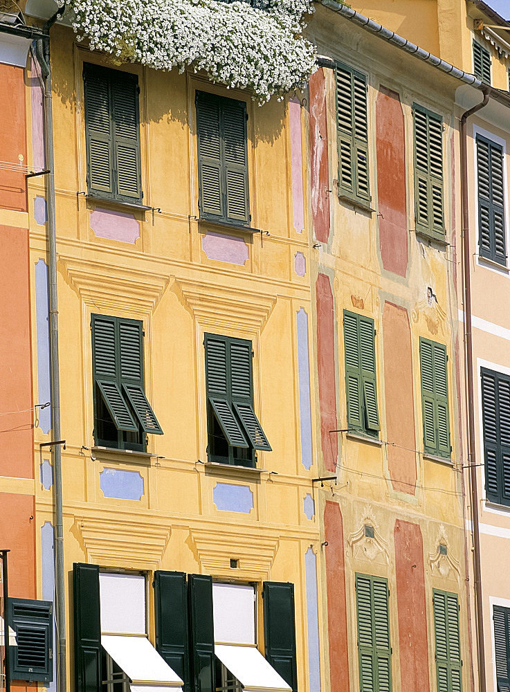 Pastel painted buildings and windows, Portofino, Liguria, Italy, Europe