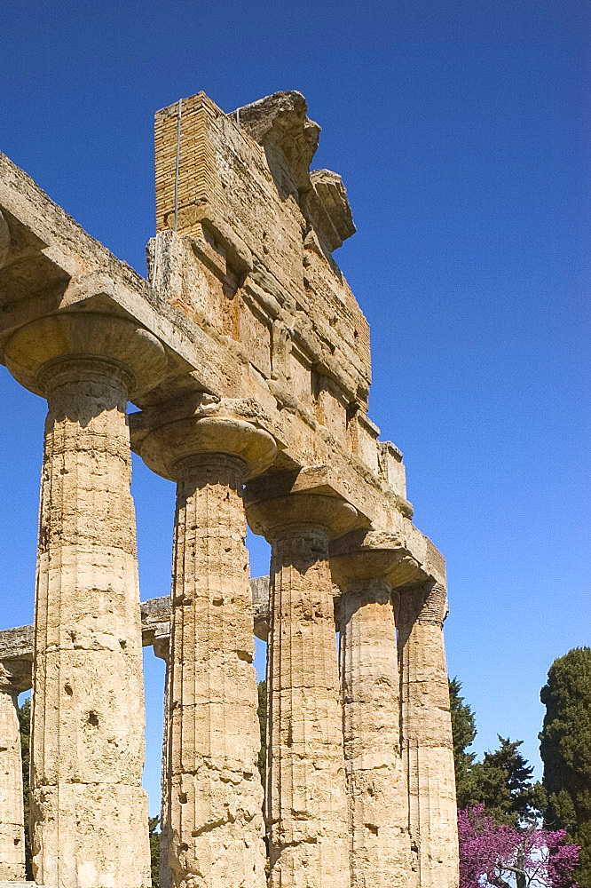 The Temple of Ceres at The Temples Museum, Paestum, Campania, Italy, Mediterranean, Europe