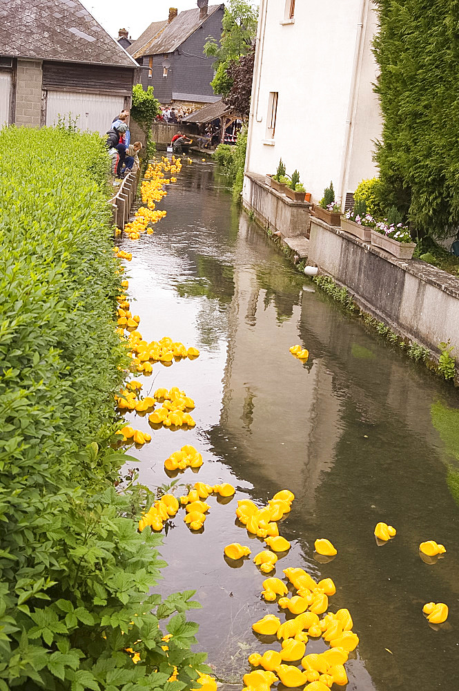 The traditional rubber duck race along a stream in Cormeilles, Normandy, France, Europe