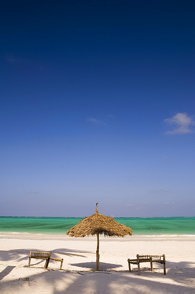 Palm trees and thatched umbrellas on the beach at Paje, Zanzibar, Tanzania, East Africa, Africa