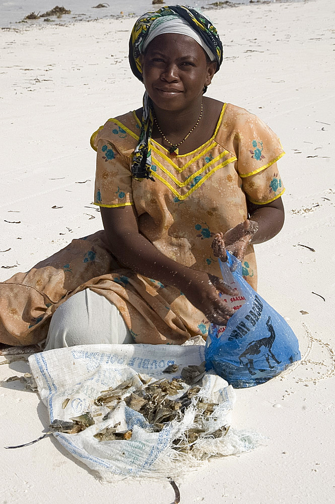 Local woman on the beach sorting clams, Paje, Zanzibar, Tanzania, East Africa, Africa