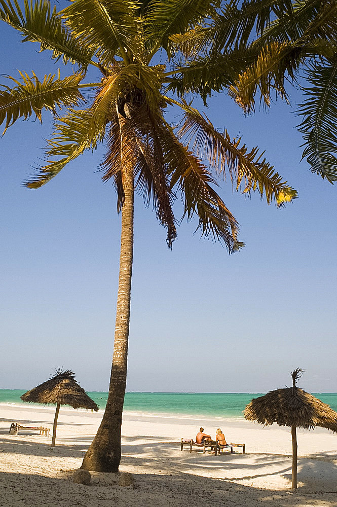 A couple sitting on traditional coconut wood sunbeds beneath palm trees, Paje Beach, Zanzibar, Tanzania, East Africa, Africa