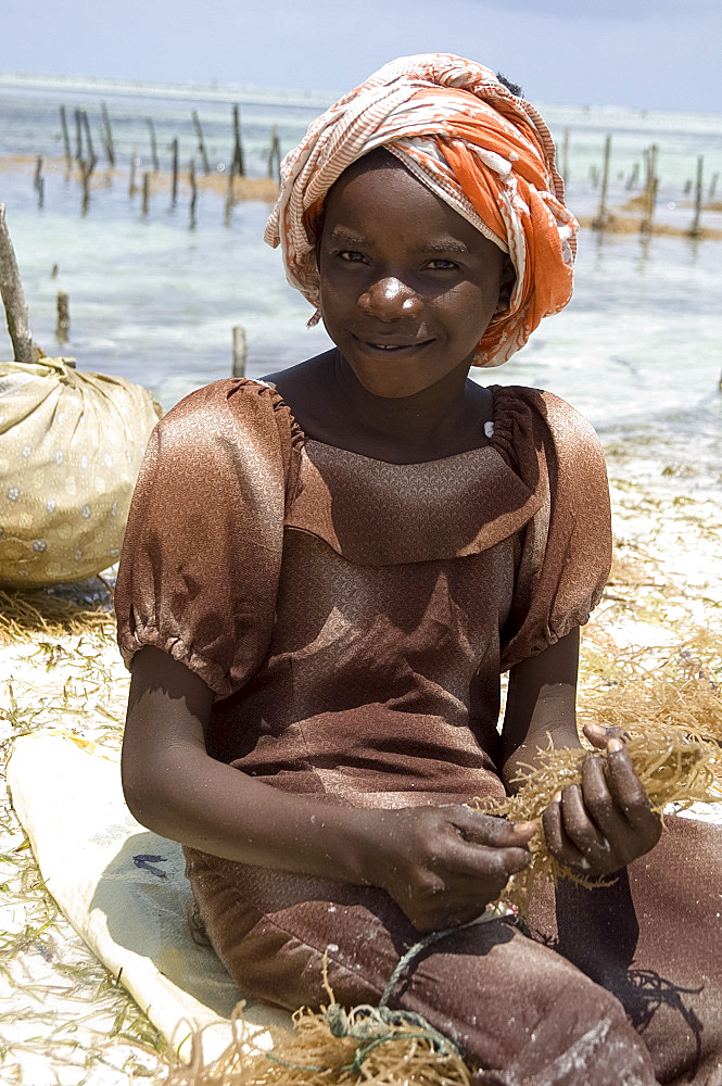 A young girl in a colourful headscarf harvesting seaweed, Paje, Zanzibar, Tanzania, East Africa, Africa