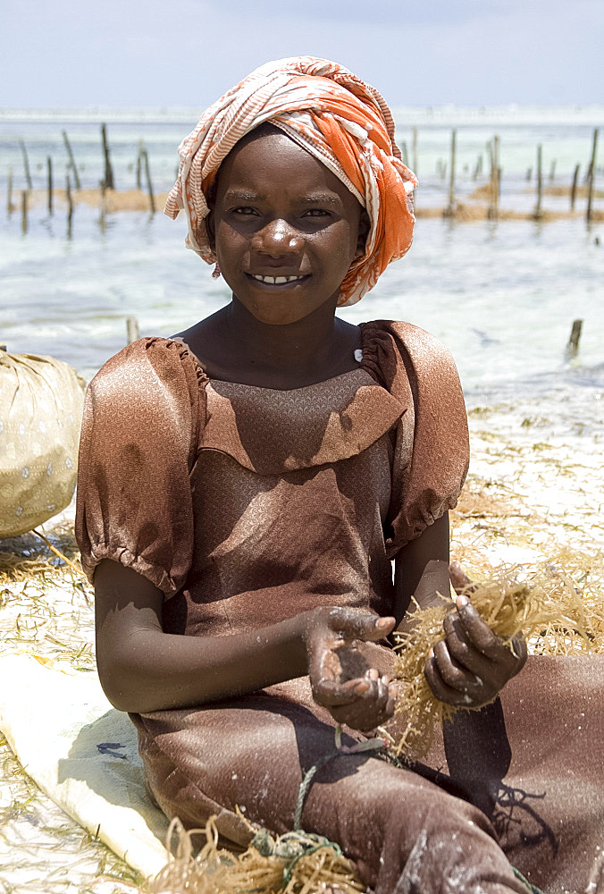 A young girl in a colourful headscarf harvesting seaweed, Paje, Zanzibar, Tanzania, East Africa, Africa