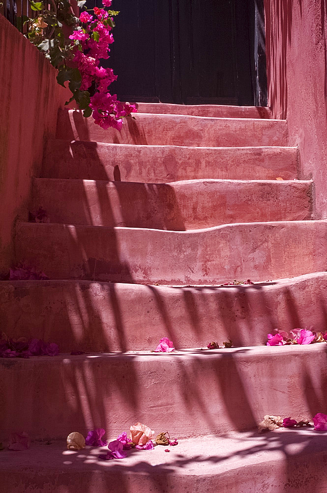 Colourful pink steps in the old town section of Hania (Chania) (Xania), Crete, Greece, Europe