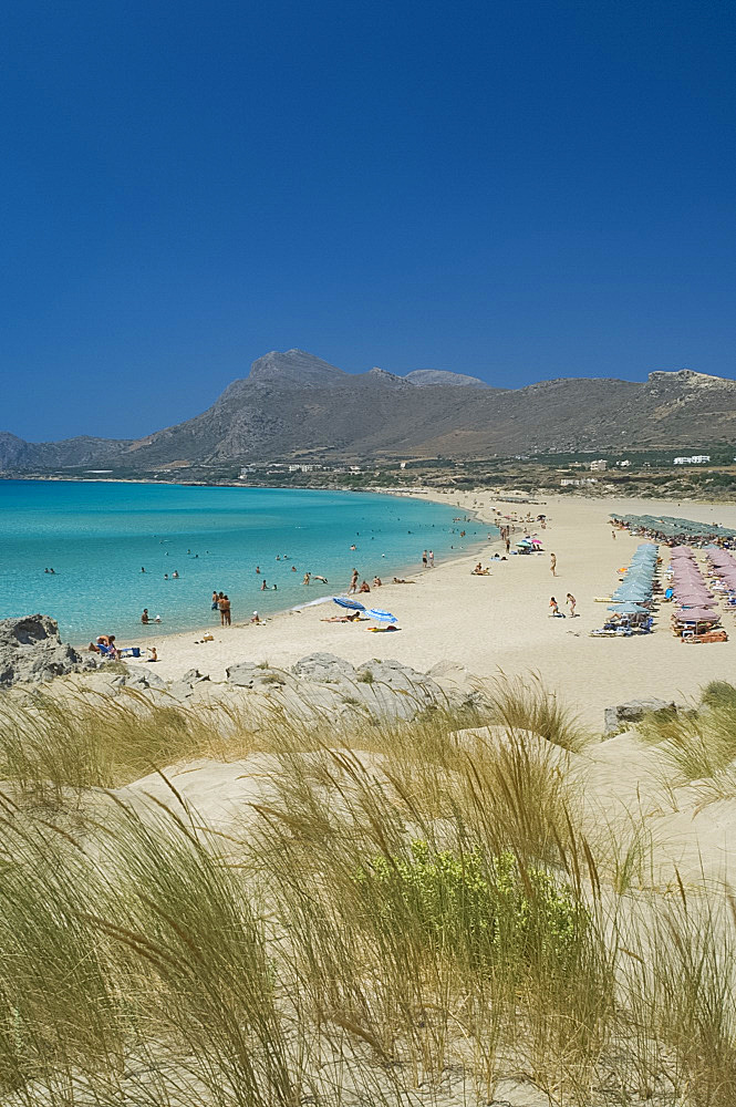 Beach grass growing in sand dunes along the beach at Phalassarna (Falassarna) on the Western coast of Crete, Greece, Europe