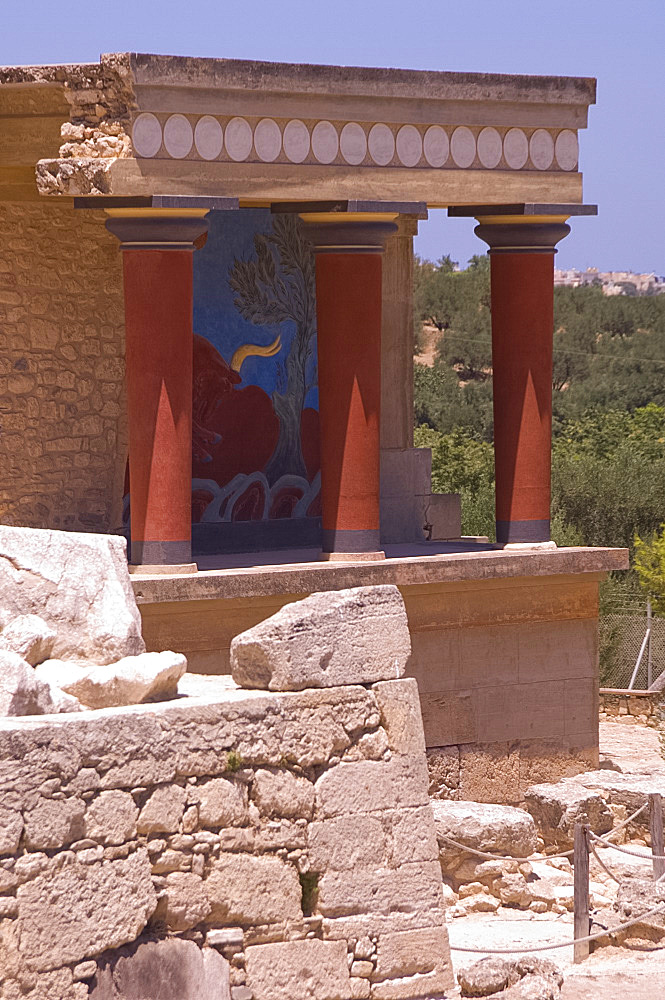 The north entrance passage containing a fresco of a charging bull at the Minoan site of Knossos, excavated in the early 20th century by British archaeologist Sir Arthur Evans, Crete, Greek Islands, Greece, Europe