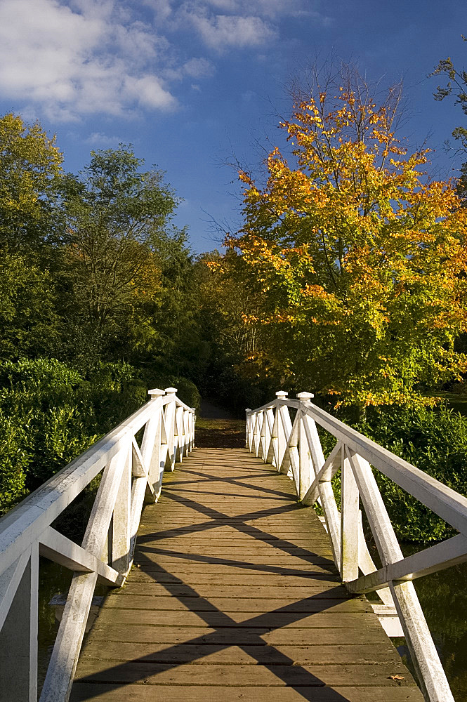 A wooden bridge across the lake at Painshill Landscape Garden in autumn, Cobham, Surrey, England, United Kingdom, Europe