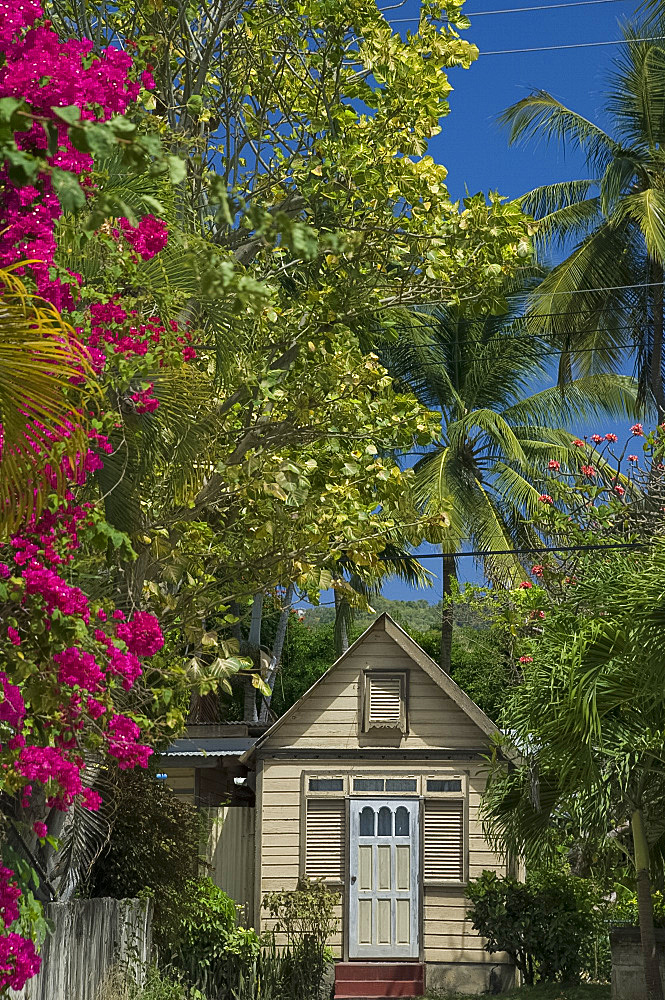 A traditional chattel house surrounded by bougainvillea and palm trees in Barbados, The Windward Islands, West Indies, Caribbean, Central America