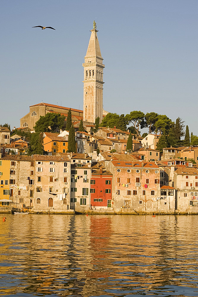 The Cathedral of St. Euphemia and the colorful old Venetian style buildings of Rovinj reflected in the sea at sunrise, Istria, Croatia, Europe