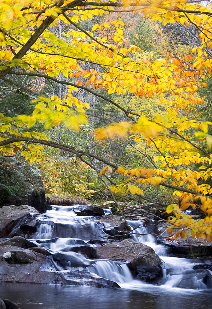 Colorful autumn foliage above cascading water in Mad River near Granville, Vermont, New England, United States of America, North America